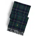 Ralph Lauren for man. 449959352001 Lamb's wool and green cashmere scarf (OSFA), Casual