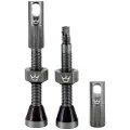 Chris King Peaty´s Tubeless Ventiler