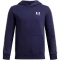 Under Armour Icon Fleece Taping Hettegenser