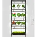 Vevor DIY-plantehylle med vekstlys, 180 cm høyt innendørs plantestativ med hjul, 192 W 5000 K fullspektret vekstlys, kraftig metallstativ for planter, blomsterpotteholder for frøoppstart
