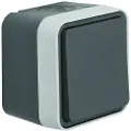 Berker Change over switch surface mounted grey w1