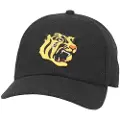 American Needle Archive Legend Hanshin Tiger Cap