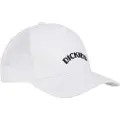Dickies Shawsville Trucker Cap