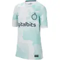 Nike Inter Milan 22/23 Stadium Away Kortarmet T-skjorte
