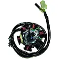 Kokusan 6 Polos 12v 100w Motor Sym 125/150 4t Stator