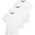 Superdry Essential Logo Embroidered Kortarmet T-skjorte 3 Enheter