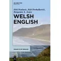 De Gruyter Welsh English