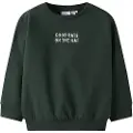 Name it Økologisk Bomull Sweatshirt