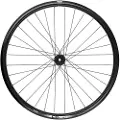 Rodi Race Disc 21 Mm Landeveissykkelens Bakhjul