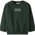 Name It Mini Økologisk Bomull Sweatshirt