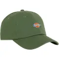 Dickies Hardwick Cap