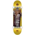 DGK Wrapped Up Skateboard