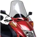 Givi D199st Peugeot Sv 250&honda Pantheon 125/150&foresight 250 Frontrute