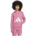 Adidas Essentials Hettegenser