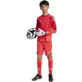 Adidas Tiro 25 Pro Keeper Shorts