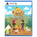Sony Ps5 Orange Season