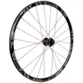 Gtr Rr17 Cl Disc Tubeless Landeveissykkelens Bakhjul