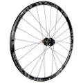 Gtr Rr17 Cl Disc Tubeless Landeveissykkelens Bakhjul