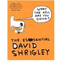 Canongate Books What The Hell Are You Doing?: The Essential David Shrigley