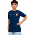 Puma Valencia Cf Evostripe Kortarmet T-skjorte