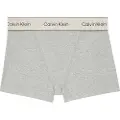 Calvin Klein Underwear Lv00qf8371 Brief Truser