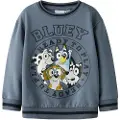 Name It Mini Bluey Sweatshirt