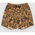 Quiksilver Everyday Straight Volley 17 Shorts brun