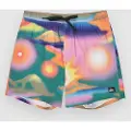 Quiksilver Surfsilk Straight Volley 17 Boardshorts blå