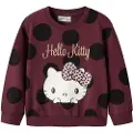 Name It Mini Hello Kitty Sweatshirt