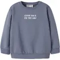 Name It Mini Økologisk Bomull Sweatshirt