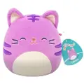Squishmallows Tabitha Purple Tabby Cat