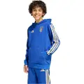 Adidas Italy Dna Hettegenser