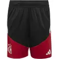 Adidas Germany 26/27 Tiro Trening Junior-shorts