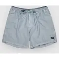 Quiksilver Everyday Surfwash Volley 15 Boardshorts blå