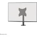 NeoMounts Ds42-430bl12 Tv-feste