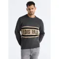 LOIS Jeans for man. 176742829 Mauro Romeo grey jumper (M), Casual, Cotton, Acrylic