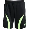 Adidas Originals Teamgeist Adicolor Shorts