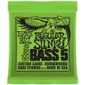 Ernie Ball Regular Slinky 2836 Nickel Bass 5 String 45-130