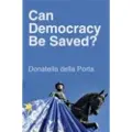 Wiley Can Democracy Be Saved?