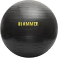FINNLO Gym 75 Cm Fitball