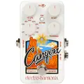 Electro-harmonix Canyon Delay & Looper