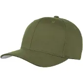 Flexfit Wooly Combed Cap