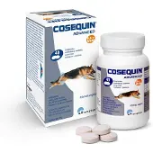 Ecuphar Cosequin Advance Msm Ha 40cpd Kosttilskudd For Hund