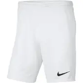 Nike Dri Fit Park 3 Knit Shorts