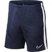 Nike Dry Academy 19 Shorts