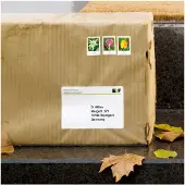 Herma Special - Polyester - matt - selvklebende med ekstra styrke - hvit - 57 x 99.1 mm 250 etikett(er) (25 ark x 10) forsendelsesfilmetiketter