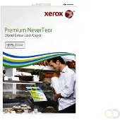 Xerox Premium NeverTear - Polyester - 120 mikroner - sterkt hvitt - A3 (297 x 420 mm) - 160 g/m² - 100 ark papir