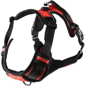 Flamingo Balou Hundesele