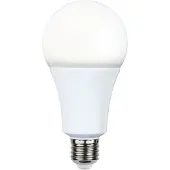 Star Trading LED-pære E27 high lumen 19W 4000K 2200 lumen