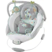 Ingenuity Soothing Bouncer Morrison